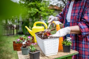 Sesc Mesa Brasil destinará alimentos de ingressos solidários do 67º aniversário do Jardim Botânico de Porto Alegre